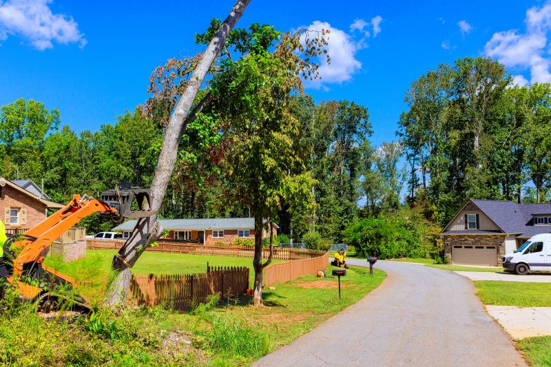 Contact About Tree Root Excavation