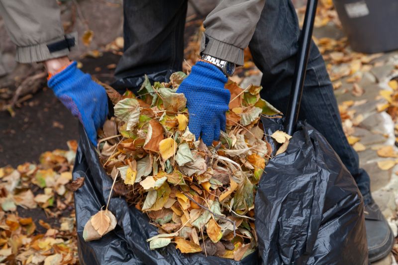 Leaf Collection and Bagging