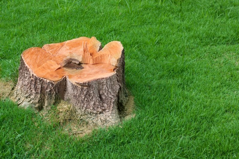 Stump Cutting in Prince Georges County, MD