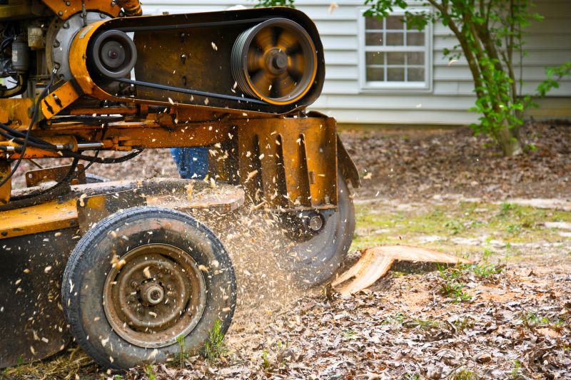 Stump Grinding Service in Prince Georges County, MD