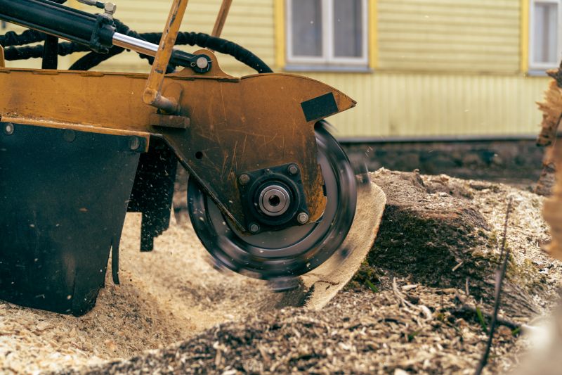 Stump Grinding Service in Prince Georges County, MD