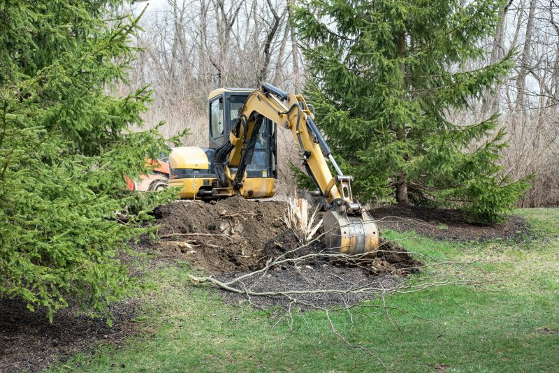 Tree Root Excavation