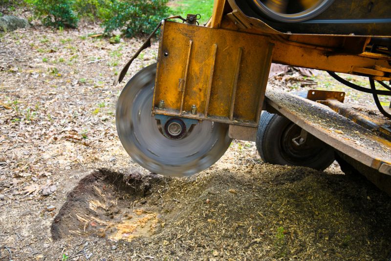 Tree Root Grinding in Prince Georges County, MD