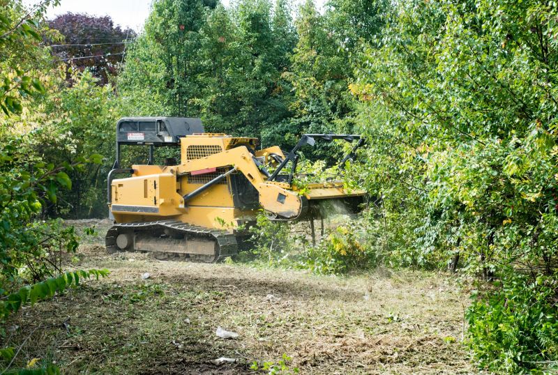 Undergrowth Removal in Houston, TX