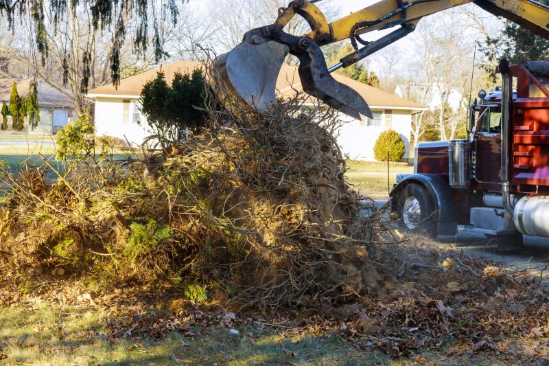 Utility Line Clearance Services